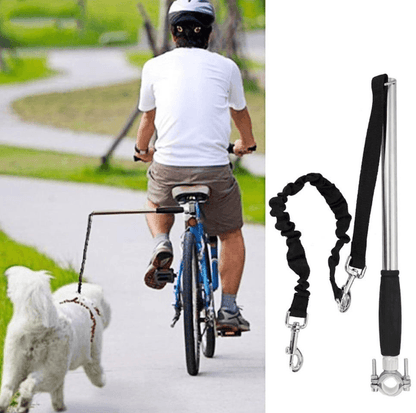 Ultimate Hands - Free Dog Walking Solution - Premium Paws