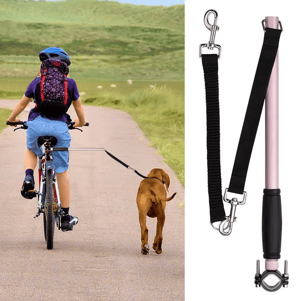 Ultimate Hands - Free Dog Walking Solution - Premium Paws