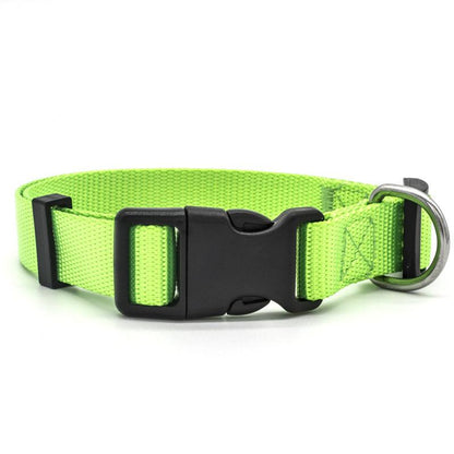 Ultra - Strong Nylon Dog Collar: The Perfect Traction Companion - Premium Paws