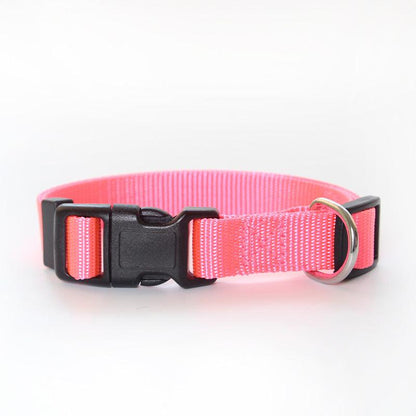 Ultra - Strong Nylon Dog Collar: The Perfect Traction Companion - Premium Paws