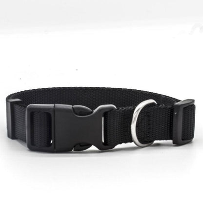 Ultra - Strong Nylon Dog Collar: The Perfect Traction Companion - Premium Paws
