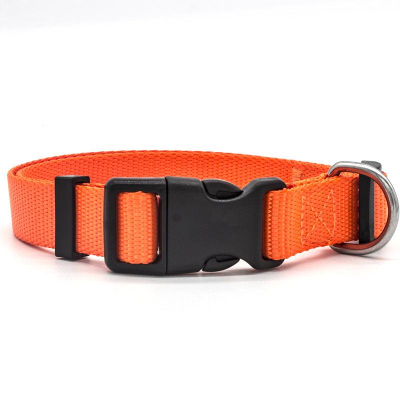 Ultra - Strong Nylon Dog Collar: The Perfect Traction Companion - Premium Paws