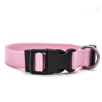Ultra - Strong Nylon Dog Collar: The Perfect Traction Companion - Premium Paws