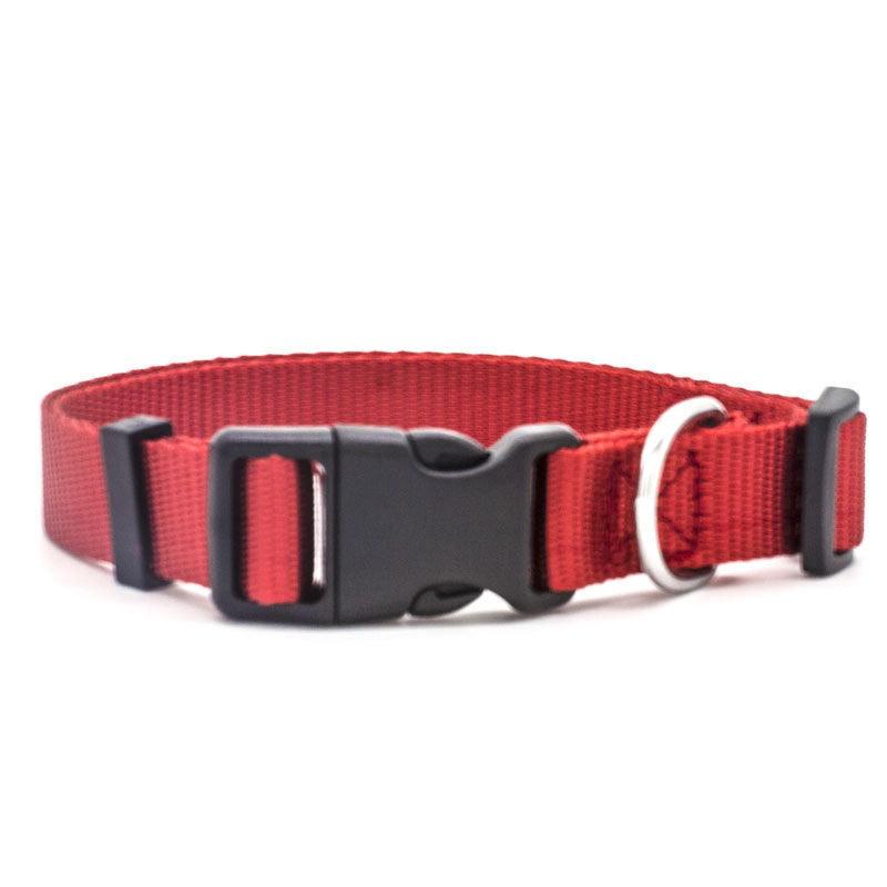 Ultra - Strong Nylon Dog Collar: The Perfect Traction Companion - Premium Paws